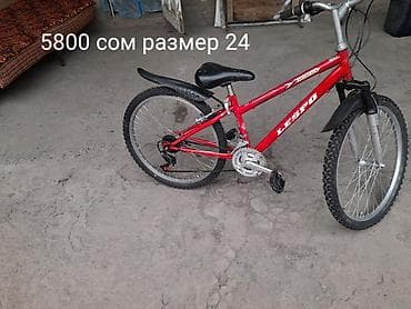 Велосипеддер: Шаардык велосипед, Galaxy, Велосипед алкагы L (172 - 185 см), Колдонулган — 4