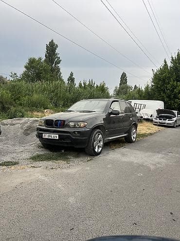 6000: BMW X5 M: 2003 г., 4.4 л, Автомат, Бензин, Внедорожник — 2