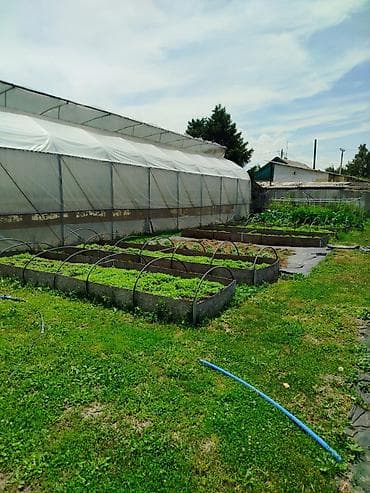 Недвижимость: 20 соток, Для строительства, Договор купли-продажи, Красная книга, Тех паспорт — 9