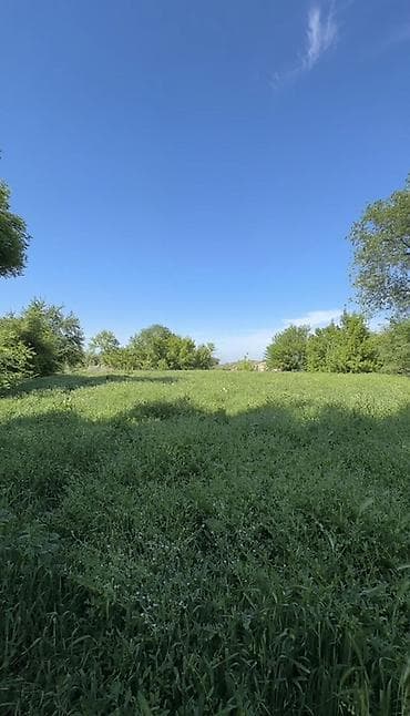 село джал какой район: 50 соток, Для бизнеса, Договор купли-продажи, Красная книга, Тех паспорт — 8