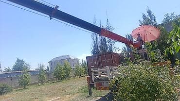 m max: Стрела 8 м, 2 т, Борт 4 кг — 2