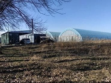 подсобный хозяйства: 300 соток, Для бизнеса, Тех паспорт — 1