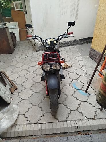 space runer: Скутер Honda Zoomer/Ruckus (50 см³водянное охлаждение только после — 1