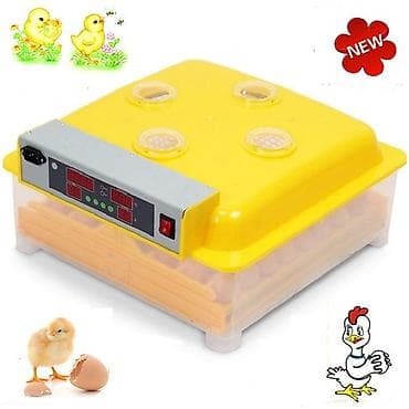 Курулуш жабдуулары: Мини инкубаторы, на 48 яиц На 48 яиц на 98 яиц так же — 1