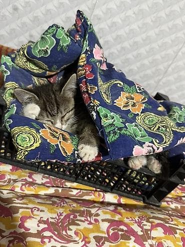пуф груша: Корзина — 1