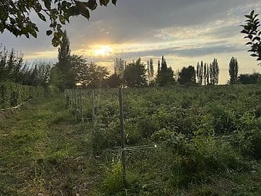 модульный дома под ключ: 🏡 ПРОДАЁТСЯ ДОМ — 40 СОТОК по документу! Район Сокулук село Саз — 10