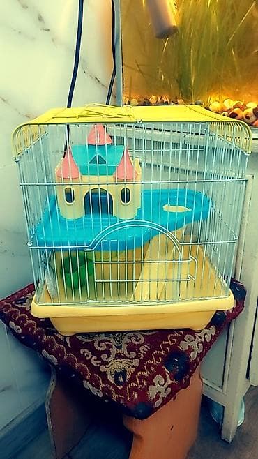 Клетки для хомяков/мышей с аксессуарами. Варианты на выбор: -