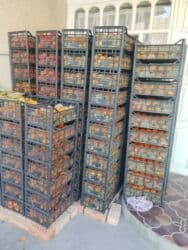 ведро эмалированное с крышкой 10л цена бишкек: Хурма в ящиках - Сорт: крупноплодная хурма (не вяжет при полной — 19