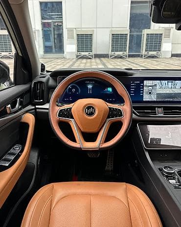 машина bwm: Weltmeister W6, 2022 г., 74000 км, Алдыңкы, Бар — 6