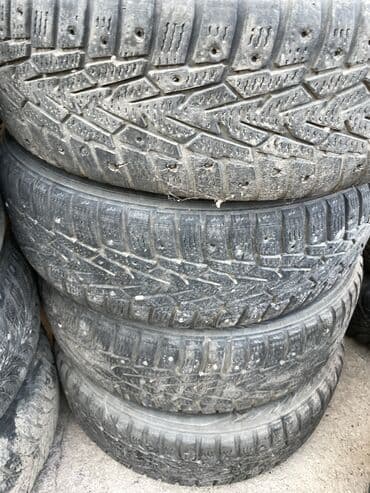 шины на рекс: Шины — 18