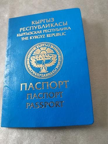 Бизнес үчүн жабдуулар: Термокамера 320 Hobbi Smoke •Вес без упаковки - 140 кг • Вес в — 5