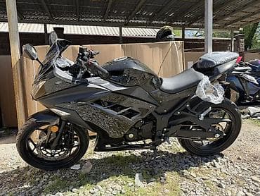 матасыкыл зид: Спортбайк 200 куб. см, Бензин, Чоңдор үчүн, Жаңы, Бөлүп төлөө менен — 2