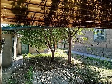 виноградники: Продаётся земельный участок с жилой застройкой и плодовым садом — 1