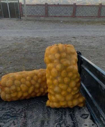 себет манты: Картошка — 1