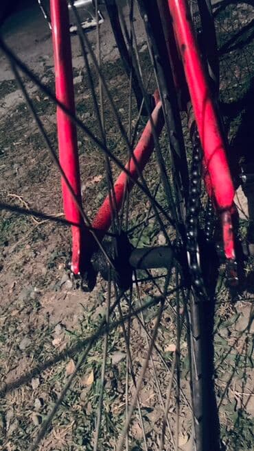 велосипеды фикси: Шаардык велосипед, Велосипед алкагы M (156 - 178 см), Колдонулган — 5