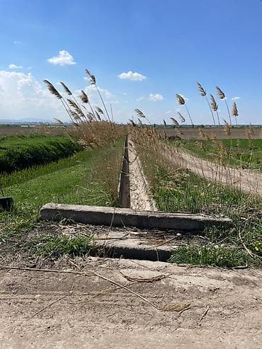 браво городок: 600 соток, Для бизнеса, Договор купли-продажи — 6