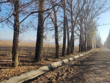 продажа земель сельскохозяйственного назначения: 1500 соток, Для сельского хозяйства, Договор долевого участия — 1