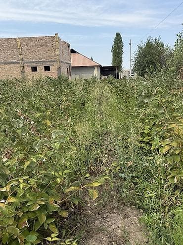 rich home: 15 соток, Для сельского хозяйства, Красная книга, Договор купли-продажи — 5