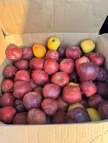 превосходный сорт яблок: Яблоки Крипсон, В розницу — 2