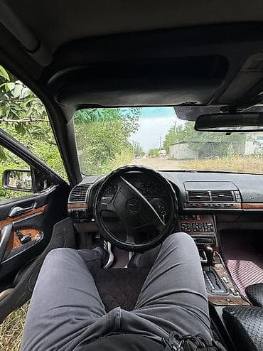 дверцы: Mercedes-Benz S-Class: 1994 г., 3 л, Автомат, Дизель, Седан — 3