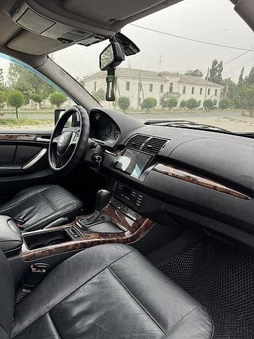 BMW X5: 2003 г., 3 л, Автомат, Дизель, Кроссовер — 7