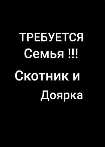 Требуется Скотник, Оплата: Ежемесячно