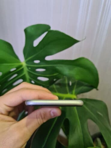 iphone за 0 руб с дефектом: IPhone 6s, Б/у, 64 ГБ, Space Gray, Кабель, Наушники, Зарядное устройство, 100 % — 6