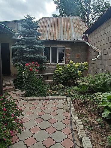 чон: Бизнес менен Чон -Арыктан биринчи линиядан Уй сатылат 350000$ — 3