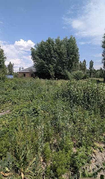 тамчы комнаты: Продам дом с перспективным земельным участком в с.Кайырма,рядом — 3