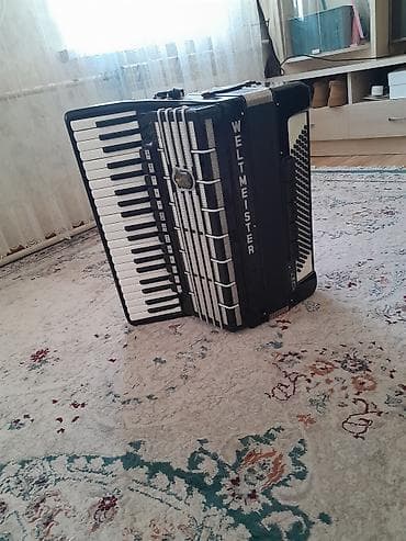 микрофон с колонками: Аккордеон Weltmeister (Германия) - Клавишная сторона: фортепианная — 2