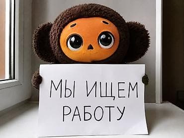 Ищем работу два человека мужского Пола разнорабочие оплата минимальная