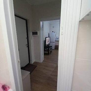 мкр аламедин 1: 1 бөлмө, Менчик ээси, Чогуу жашоосу жок — 5