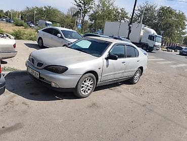 byd e5: Nissan Primera: 2001 г., Механика, Седан — 1