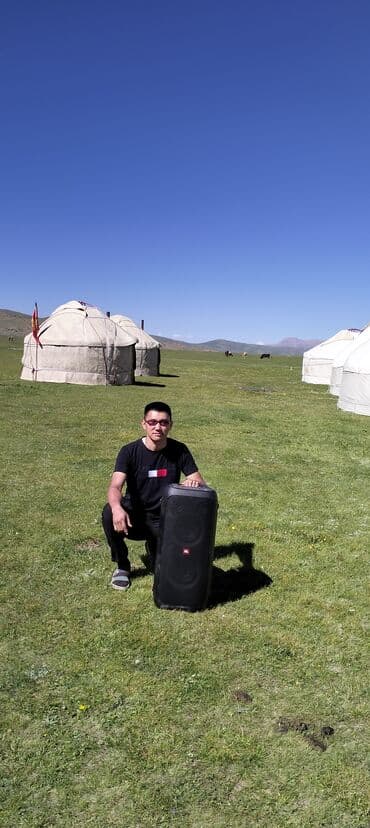 микрофоны караоке: Колонка. Аренда JBL(USA) 240W, Bluetooth. Аренда микрофона(2шт) — 13