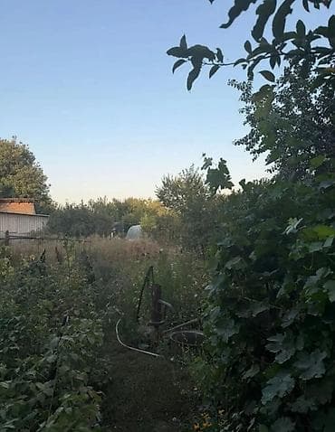 продаю участок в маевке: 🏡 Продаётся частный дом с участком 8,5 соток 📍 Маевка, середина села — 6