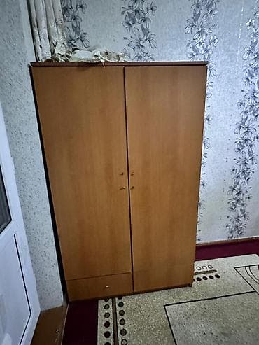 Шифоньерлер, кийидер үчүн шкафтар, Колдонулган, Түз, ЛДСП