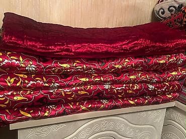 снять квартиру жал: Манас (Жалал-Абад) шаарынан 1-адамга (служебный), узак моонотко — 1