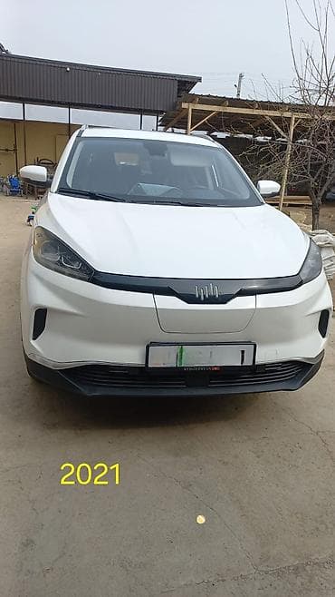 Weltmeister EX5, 2021 г., 110000 км, Передний