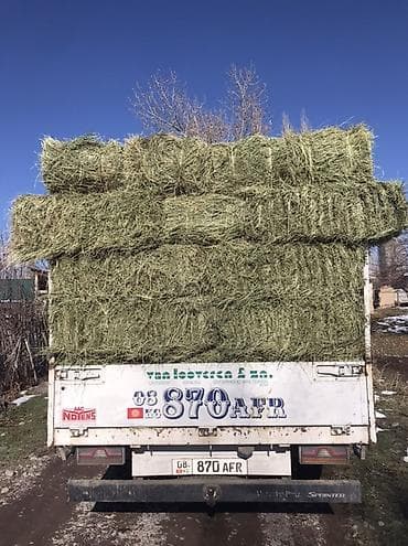 Собаки: Сено в тюках. - Заготовлено в рулонах/прямоугольных тюках, удобных — 1