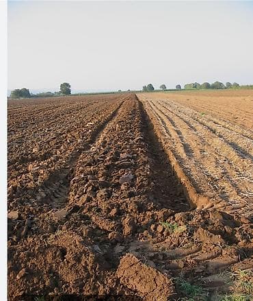 Батирлер: Айыл чарба үчүн — 1