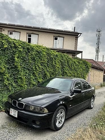 краска на авто: BMW 5 series: 2002 г., 2.5 л, Автомат, Бензин, Седан — 2