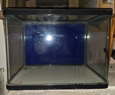 стекло аквариум: Аквариум угловой стеклянный с округлым передним стеклом — 3
