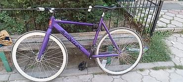 Велосипеды: Фикс-байк/Aventon - Рама и вилка из алюминия, цвет фиолетовый — 3
