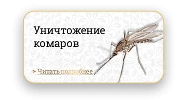 Клининговые услуги: Дезинфекция, дезинсекция, | Блохи, Вирусы, микробы, Клопы, | Дома, Дворы, Квартиры — 1
