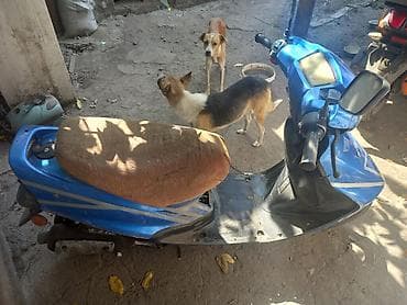 Скутер/мопед, синий, бензиновый, с автоматической коробкой (вариатор)