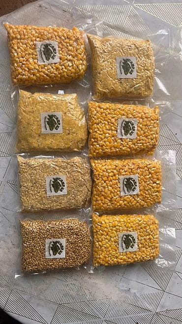 киса: Корм для ловли трофейного Карпа, Амура Пьяная кукуруза 1кг 160 сом — 1