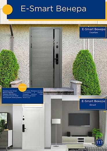 Двери для домов и квартир, Металлическая, Одностворчатая, Китайская, В стиле хай-тек, цвет - Серый