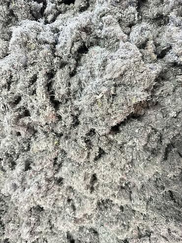 жанатан алма: Жаңы, Өзү алып кетүү — 3