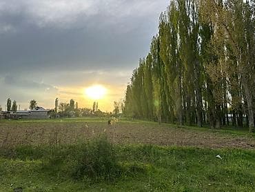 1 room: 10 соток, Для сельского хозяйства — 1