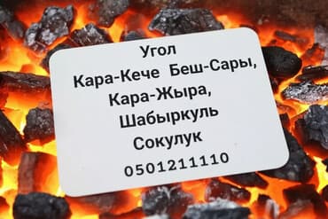 платье на утренник: Угольные брикеты, В тоннах, В розницу — 1